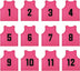 Team Practice Scrimmage Vests Sport Pinnies Training Bibs Numbered (1-12)